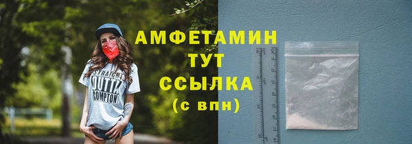 сатива Елизово
