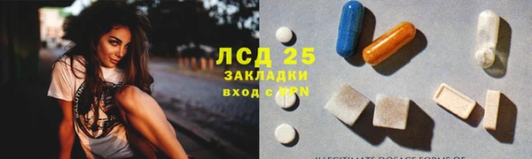 сатива Елизово