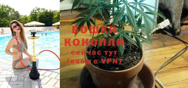 альфа пвп Гусиноозёрск