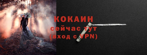 дмт Елабуга
